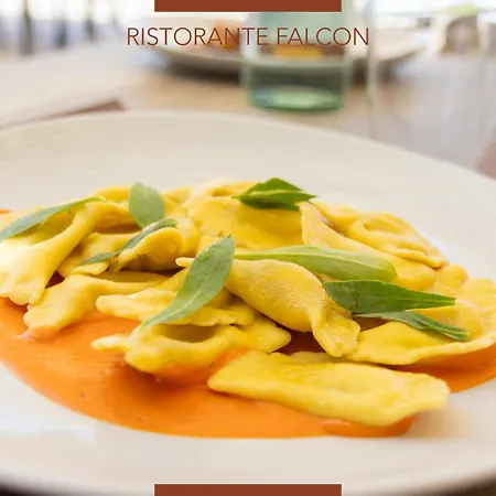 Ξενοδοχείο Falcon